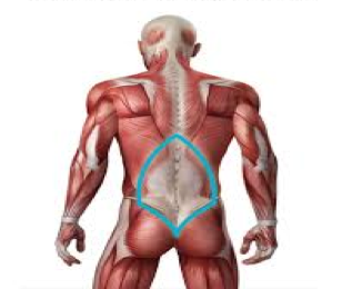 Lumbar1